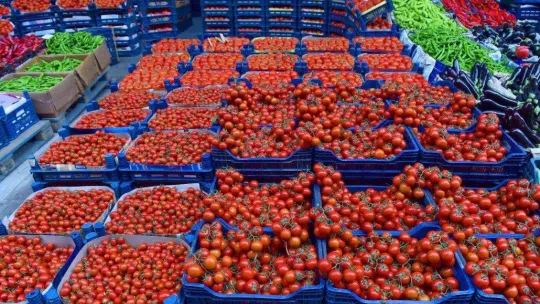 Ankaralı en çok palamut, kavun ve domates tüketti
