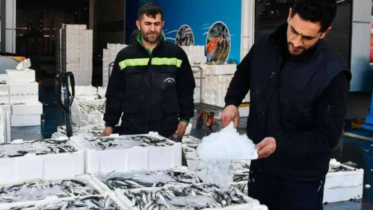 Ankaralı en çok palamut, kavun ve domates tüketti