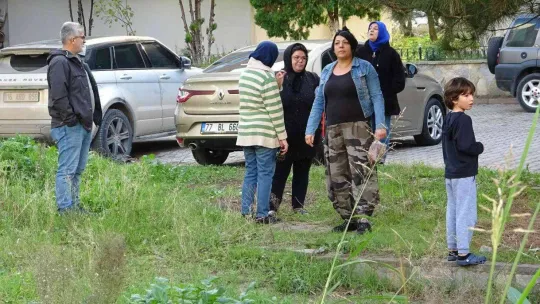 Annelerinin terk ettiği yavru köpeklere site sakinleri sahip çıktı