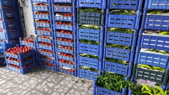 Antalya'da yaşanan sel, İstanbul'da hâli vurdu