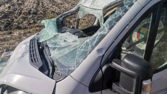 Araç kullanırken köpeği üzerine atladı, kamyonet tarlaya uçtu