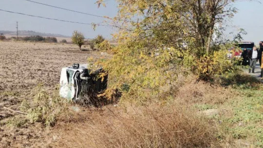 Araç kullanırken köpeği üzerine atladı, kamyonet tarlaya uçtu