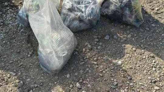 Aralarında eski yüzbaşının bulunduğu kaçak silah çetesine operasyon: 14 gözaltı