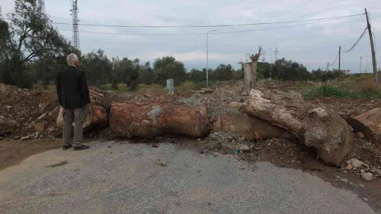 Arazisinden geçen yolu 'istimlak bedeli ödenmediği' gerekçesiyle kapattı