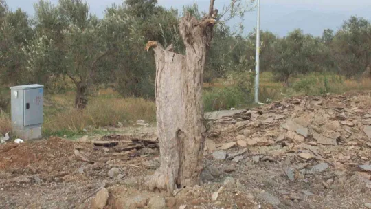 Arazisinden geçen yolu 'istimlak bedeli ödenmediği' gerekçesiyle kapattı