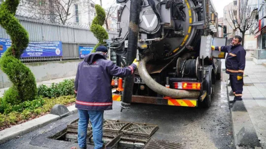 Arı Caddesi, tematikleşiyor
