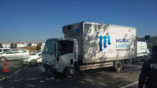 Arızalanan aracından indiği sırada kamyonet çarpan sürücü hayatını kaybetti