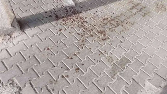 Arkadaşının bıçaklayarak öldürdüğü gencin annesinden yürek burkan sözler: 'Çocuğum kan kaybından ölmüş'