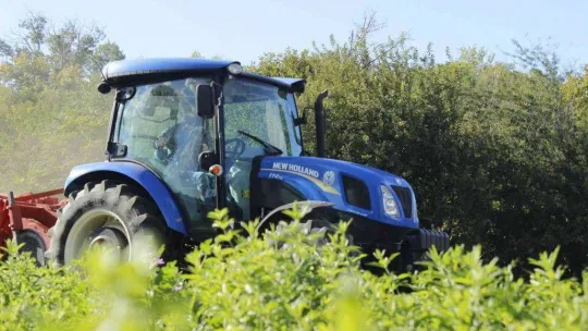 Asırlar önce formülü yasaklanan 'Edirne Kırmızısı' kıyafetlerle buluşuyor