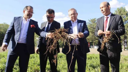 Asırlar önce formülü yasaklanan 'Edirne Kırmızısı' kıyafetlerle buluşuyor