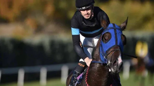 At yarışlarında 84. Cumhurbaşkanlığı Koşusu ve 42. Cumhuriyet Koşusu yapıldı