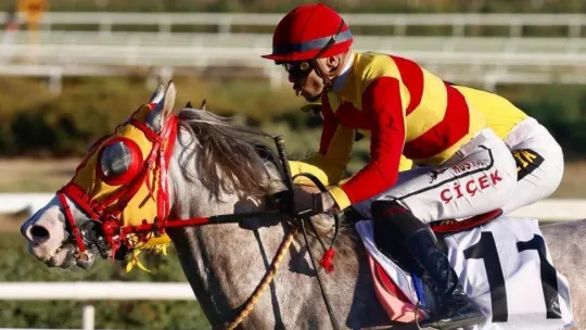 At yarışlarında 84. Cumhurbaşkanlığı Koşusu ve 42. Cumhuriyet Koşusu yapıldı