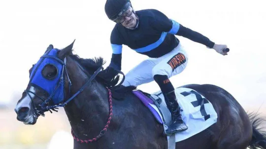 At yarışlarında 84. Cumhurbaşkanlığı Koşusu ve 42. Cumhuriyet Koşusu yapıldı