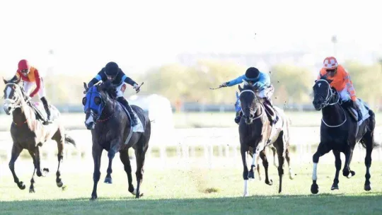 At yarışlarında 84. Cumhurbaşkanlığı Koşusu ve 42. Cumhuriyet Koşusu yapıldı