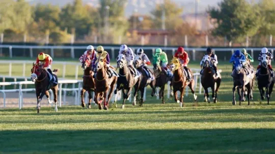 At yarışlarında 84. Cumhurbaşkanlığı Koşusu ve 42. Cumhuriyet Koşusu yapıldı