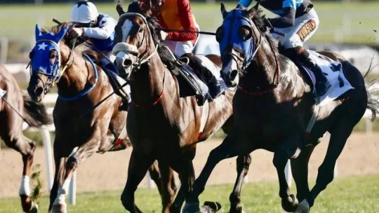 At yarışlarında 84. Cumhurbaşkanlığı Koşusu ve 42. Cumhuriyet Koşusu yapıldı