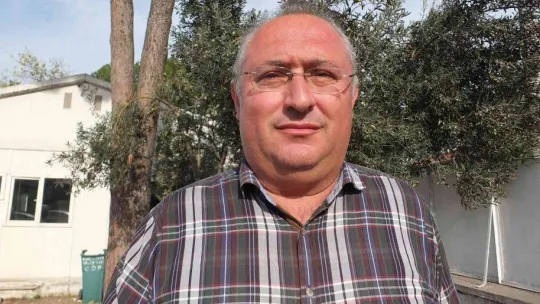 Atık zeytin yaprakları koyun ve keçilere yem oluyor