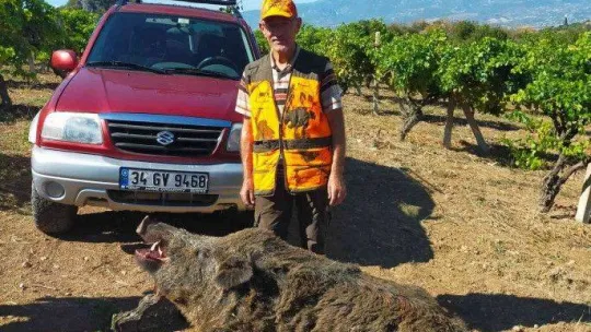 Avladıkları 385 kiloluk domuzla poz verdiler