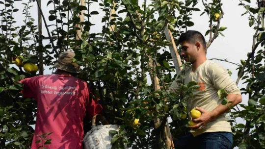 Avrupa'nın ayvası bu köyden