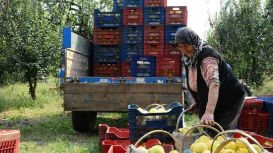 Avrupa'nın ayvası bu köyden