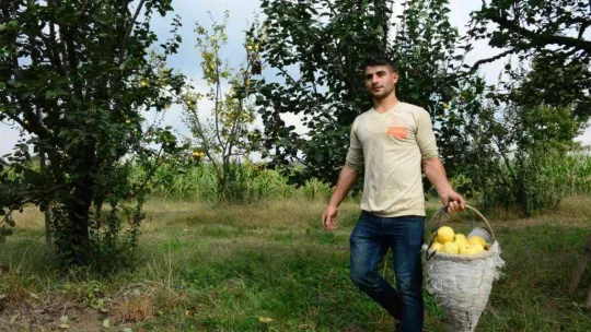 Avrupa'nın ayvası bu köyden