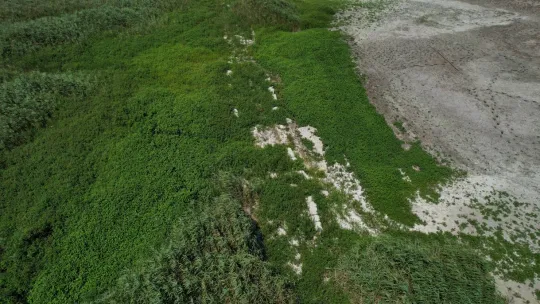 Suların çekildiği Terkos Gölü'nde ortaya çıkan tarihi yol havadan görüntülendi