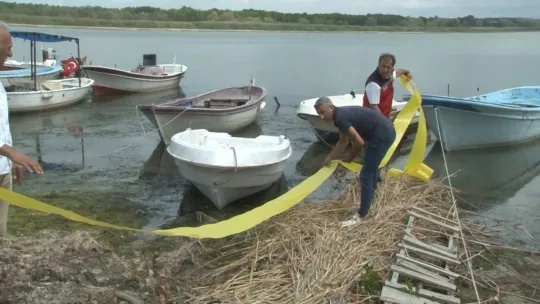 İstanbul'da göl ve göletlere 1 milyon 143 bin yavru balık bırakıldı