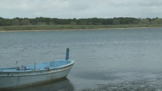 İstanbul'da göl ve göletlere 1 milyon 143 bin yavru balık bırakıldı