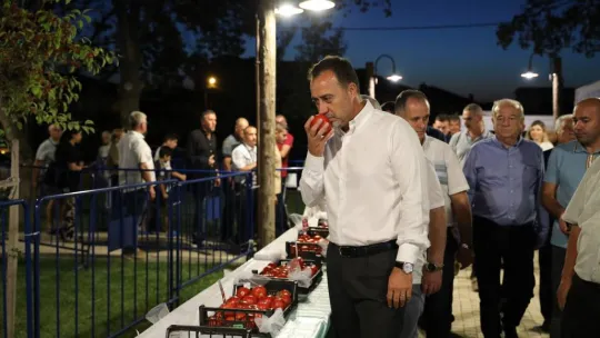 Silivri'de karpuz ve domatesler yarıştı