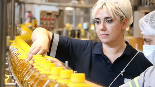 Aşırı sıcaklar ve kuraklık ayçiçeğini vurdu