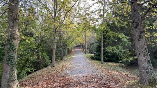 Atatürk Arboretumu'nda kartpostallık manzaralar