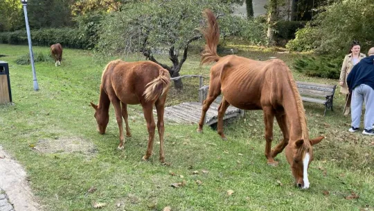 Atatürk Arboretumu'nda kartpostallık manzaralar