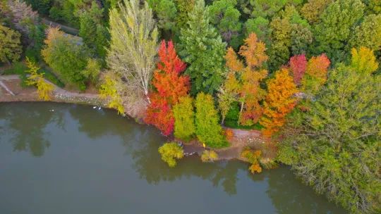 Atatürk Arboretumu'nda kartpostallık manzaralar