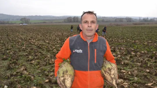 Trakya'da çiftçinin zorlu şeker pancarı mesaisi devam ediyor