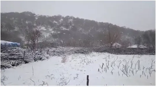 Uyarılar gerçeğe dönüştü: Edirne'de kar yağışı başladı
