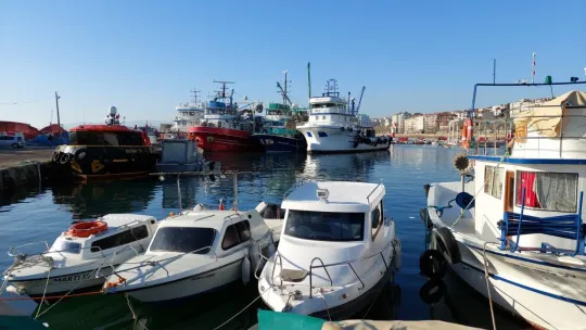 Yaklaşık 30 ton torik balığı avladılar