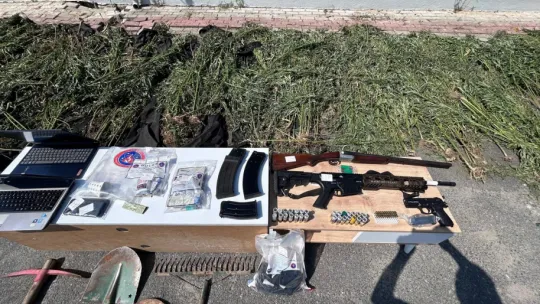 Çatalca'da ormanlık alanda kenevir yetiştiriciliği operasyonu: 6 gözaltı