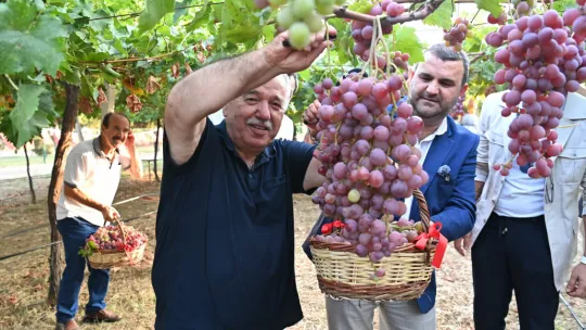 Tekirdağ'da 'Bağbozumu Şenliği' coşkusu