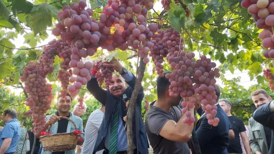 Tekirdağ'da 'Bağbozumu Şenliği' coşkusu