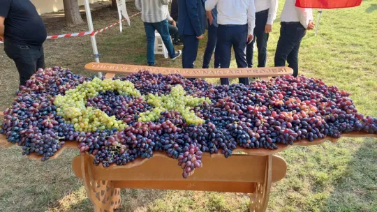 Tekirdağ'da 'Bağbozumu Şenliği' coşkusu