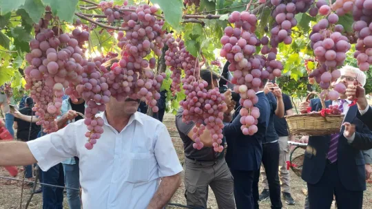 Tekirdağ'da 'Bağbozumu Şenliği' coşkusu
