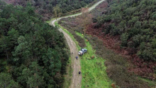 İstanbul'da kuruyan barajlarda domuz avı