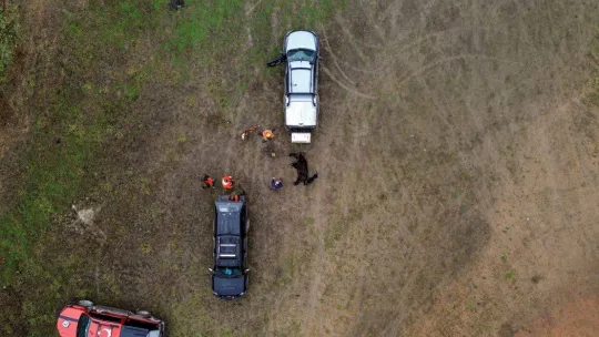 İstanbul'da kuruyan barajlarda domuz avı