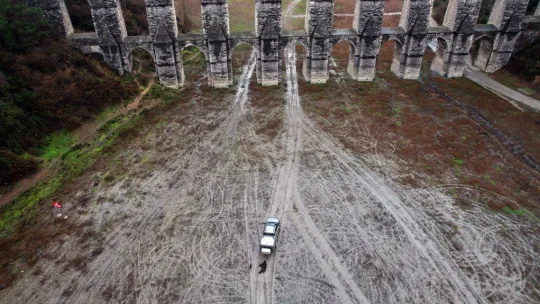 İstanbul'da kuruyan barajlarda domuz avı