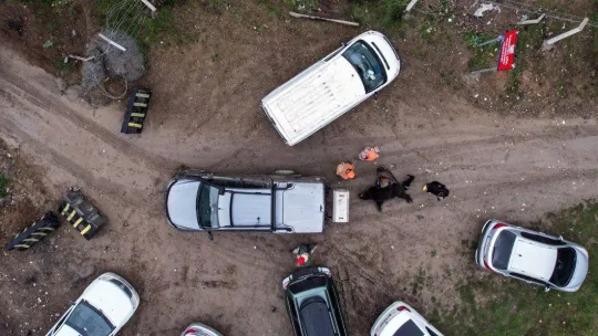 İstanbul'da kuruyan barajlarda domuz avı