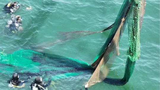 İstanbul çevresinde 9 yılda 334 bin metrekare hayalet ağ temizlendi