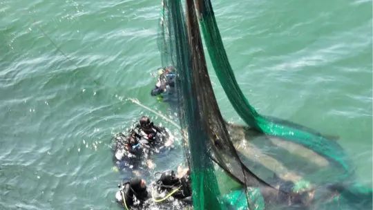 İstanbul çevresinde 9 yılda 334 bin metrekare hayalet ağ temizlendi