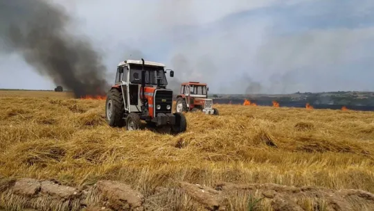 Anız yangını buğday tarlasına sıçradı: İstanbul-Edirne yolu trafiğe kapandı