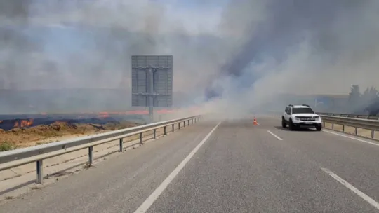 Anız yangını buğday tarlasına sıçradı: İstanbul-Edirne yolu trafiğe kapandı