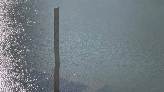 İstanbul'a su sağlayan Kırklareli'ndeki barajlarda endişelendiren manzara